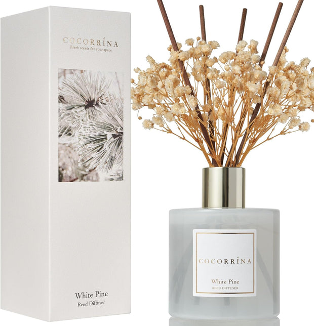 Home Fragrance Reed Diffuser for Home Decor