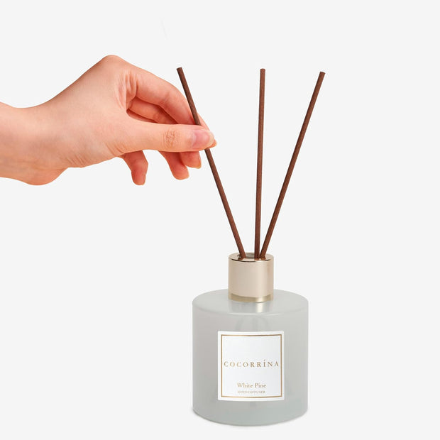 Home Fragrance Reed Diffuser for Home Decor