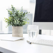 Fake Plants, Eucalyptus Potted Artificial Plants for Shelf Desk Home Bathroom Farmhouse Room Coffee Table Decor 