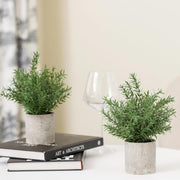 Fake Plants, Eucalyptus Potted Artificial Plants for Shelf Desk Home Bathroom Farmhouse Room Coffee Table Decor 