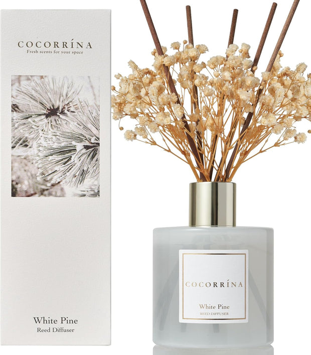Home Fragrance Reed Diffuser for Home Decor