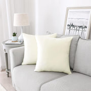 Decorative Velvet Throw Pillow Covers 