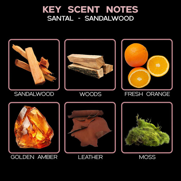 Reed Diffuser Oil and Sticks Set by LOVSPA 